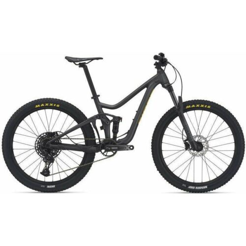 2021 Giant Trance Jr 26