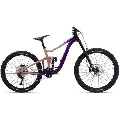 2023 Giant Reign SX — BLEM